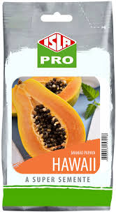 SEMENTE DE MAMÃO PAPAYA HAWAII 25G - ISLA