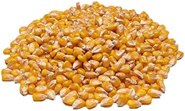SACO DE MILHO EM GRÃO 1KG