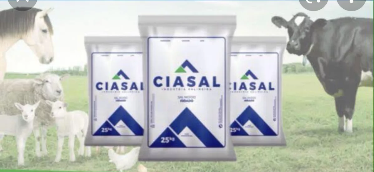 SAL MINERAL BONIVO COMUM MOIDO 25KG