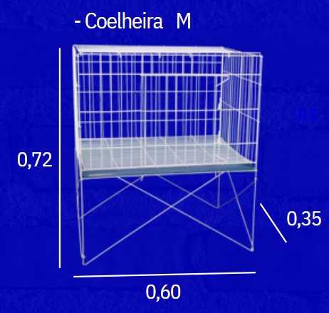COELHEIRA M - INCAR