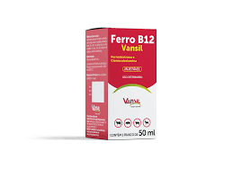 VITAMINA FERRO B12 50ML - VANSIL
