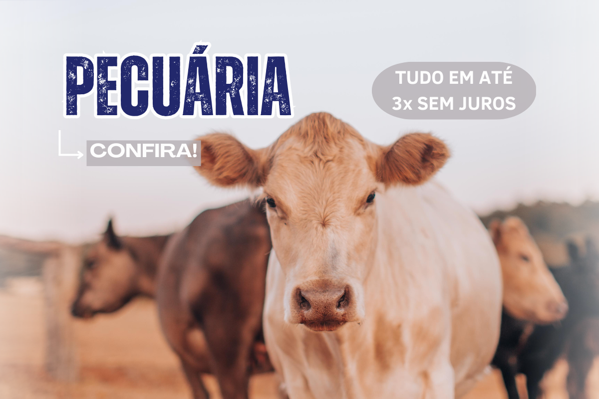 PECUARIA