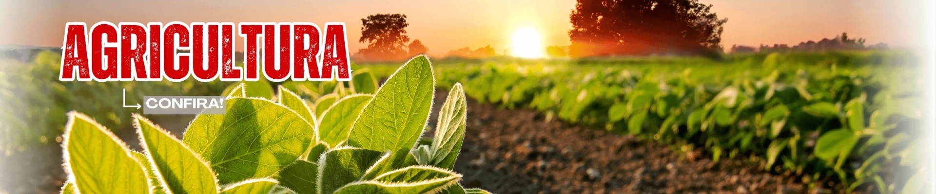 AGRICULTURA
