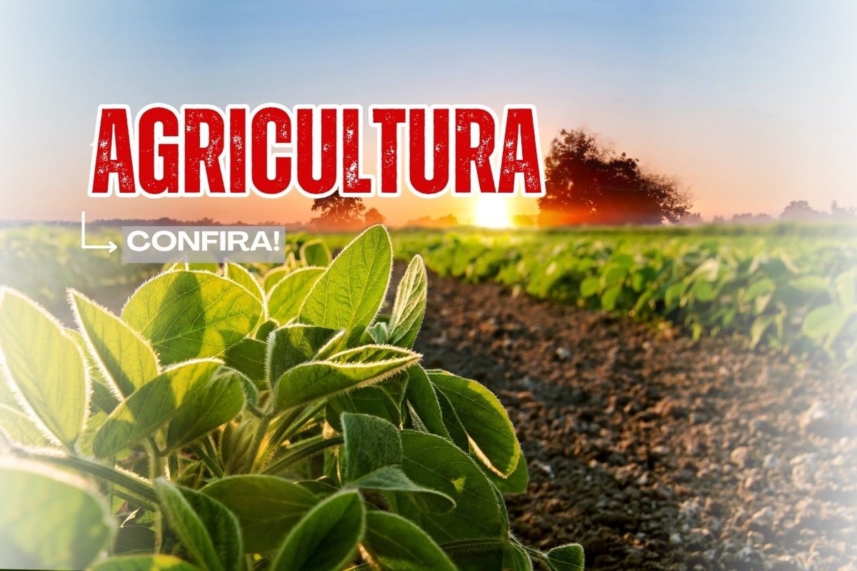 AGRICULTURA