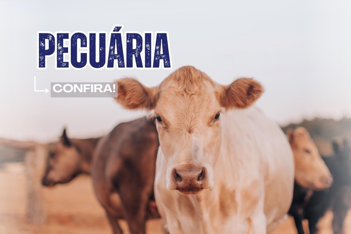 PECUARIA